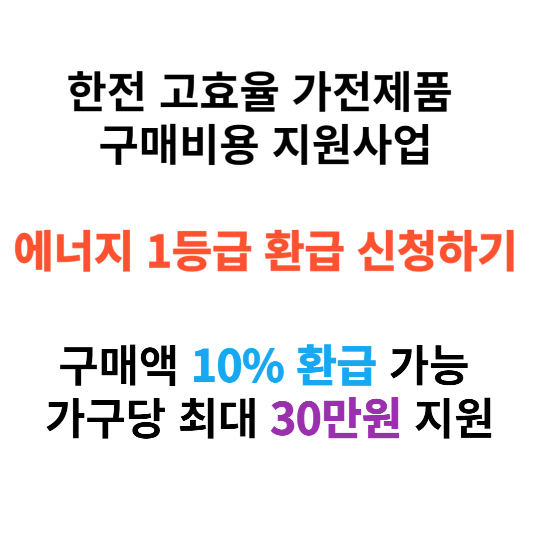 한국전력공사(한전)의 고효율 가전제품 구매비용 지원사업