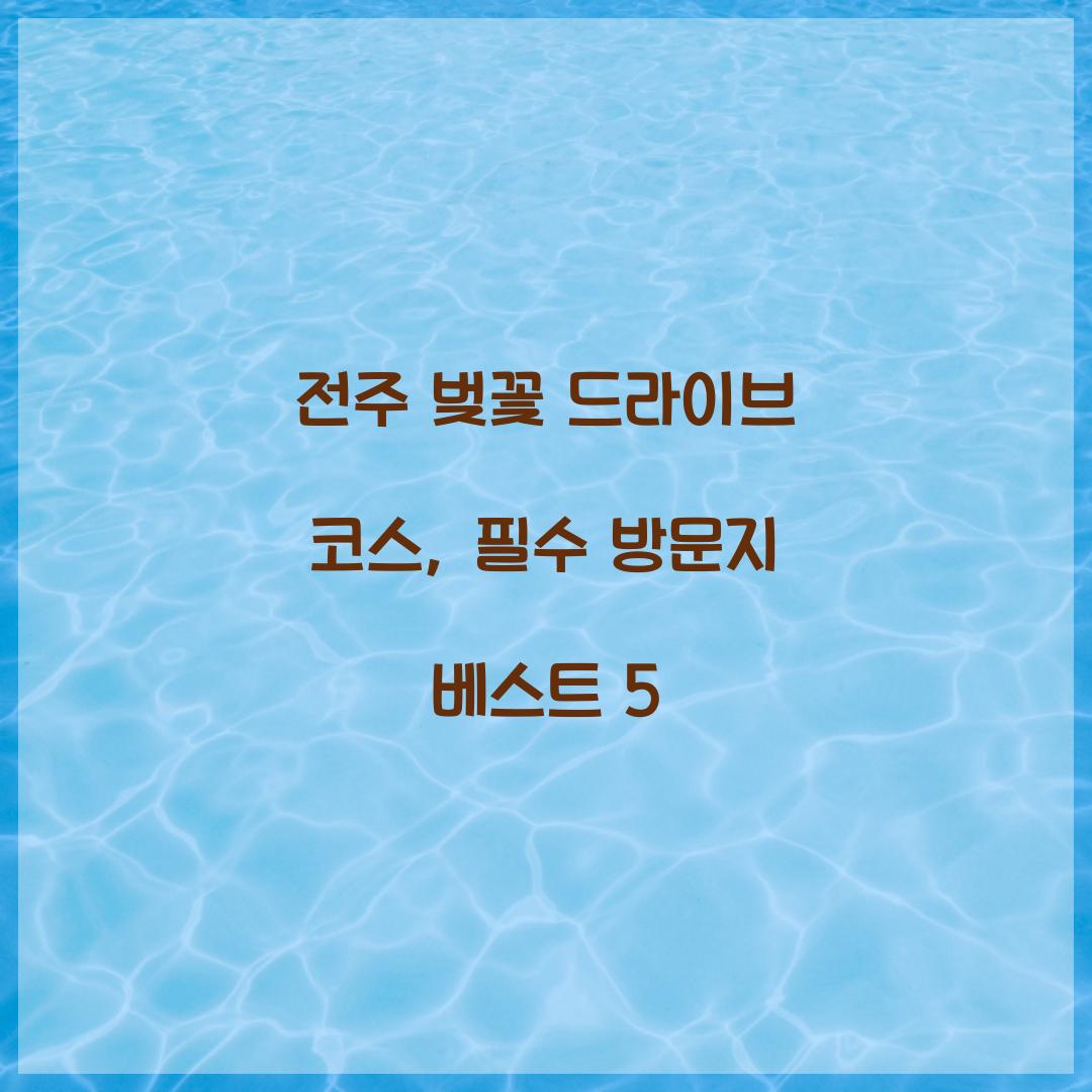 전주 벚꽃 드라이브 코스