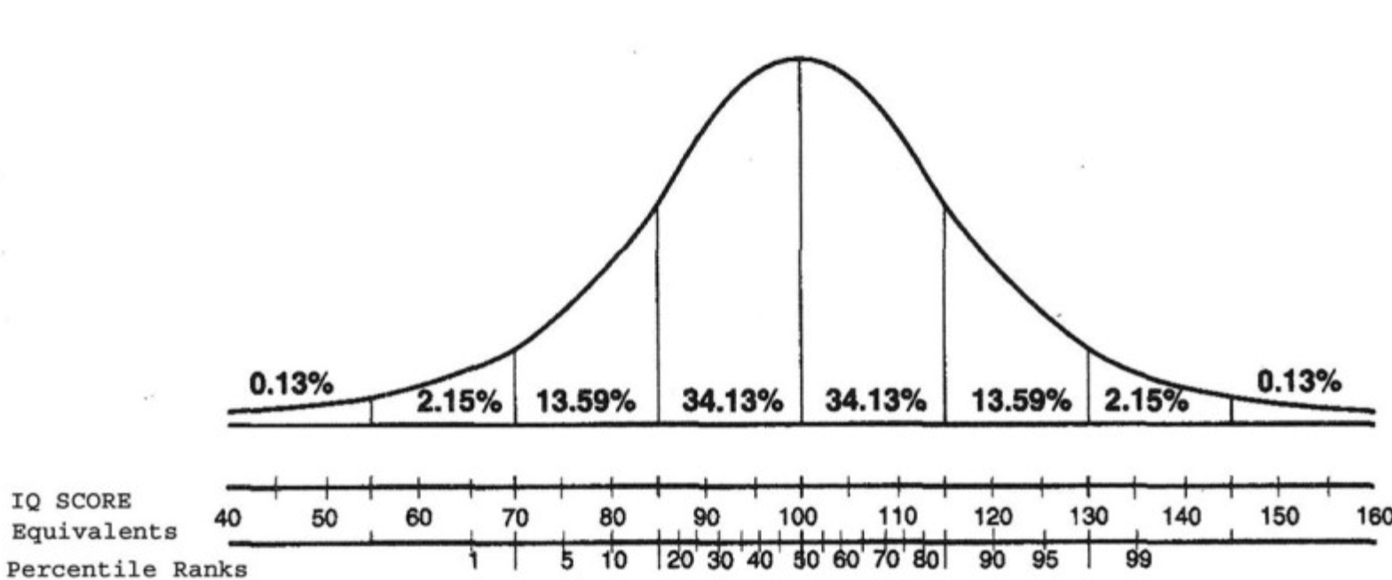 무료 IQ 테스트 하기