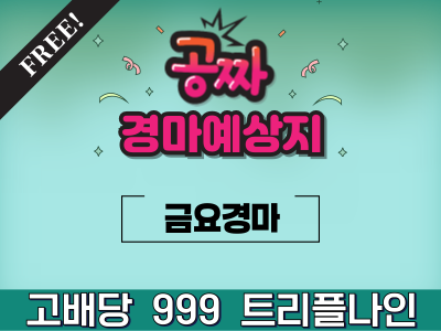 2024년12월6일 트리플나인 금요경마 예상지