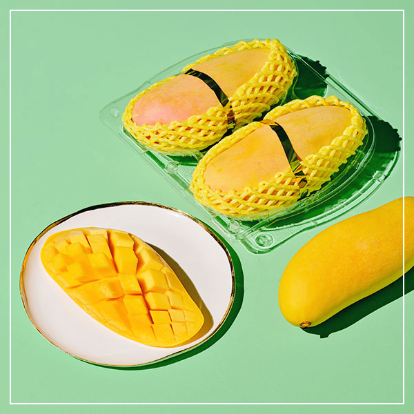 망고-효능