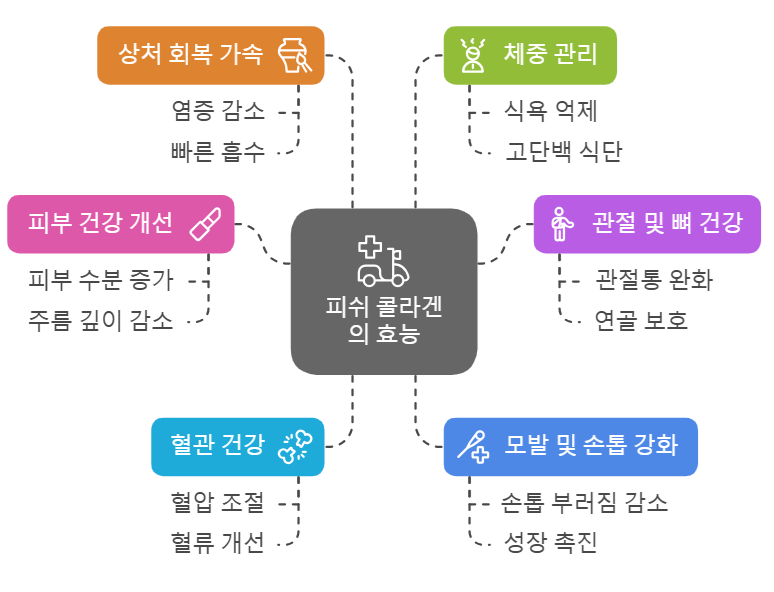 피쉬 콜라겐 효능