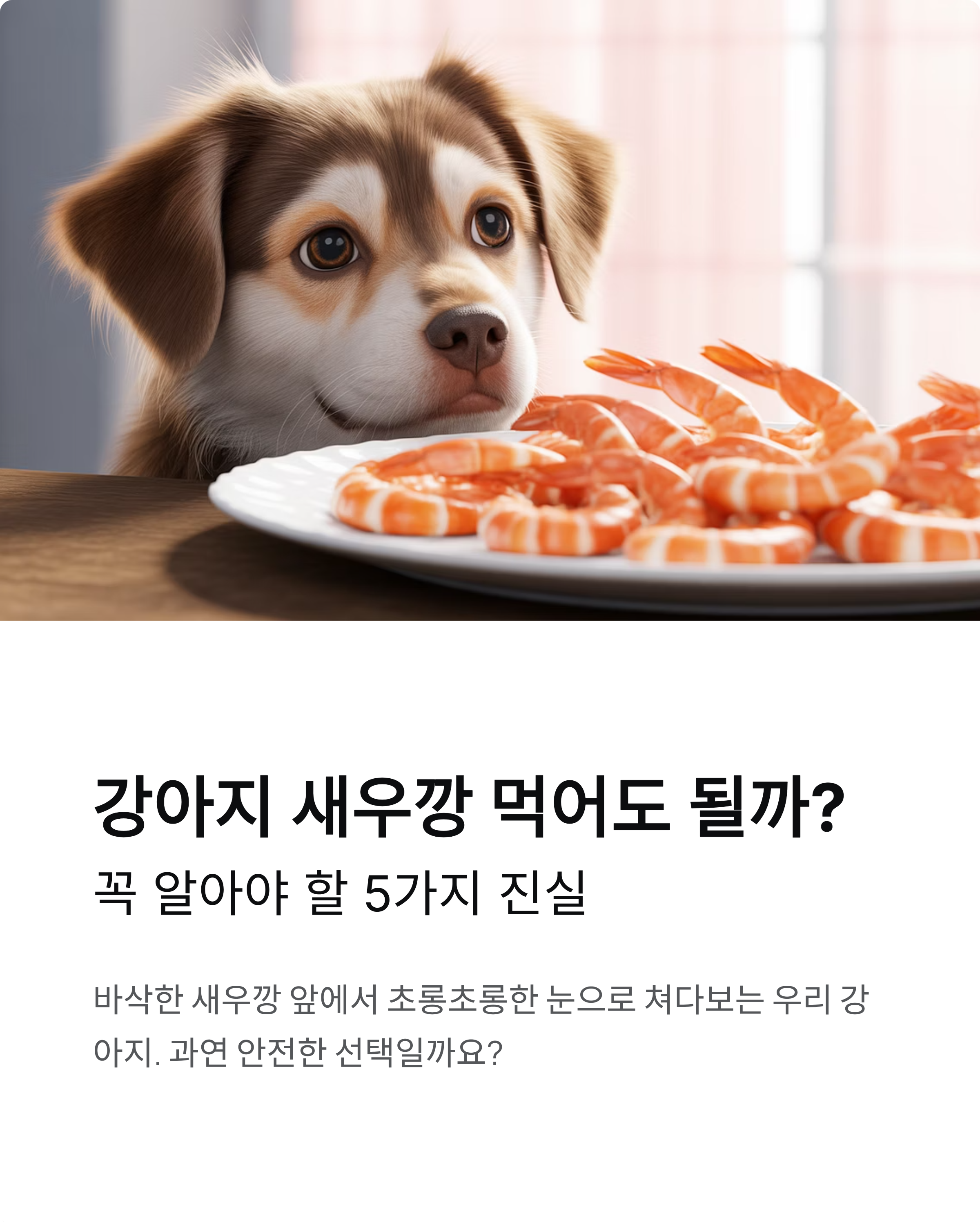 강아지 새우깡 먹어도 될까? 꼭 알아야 할 5가지 진실