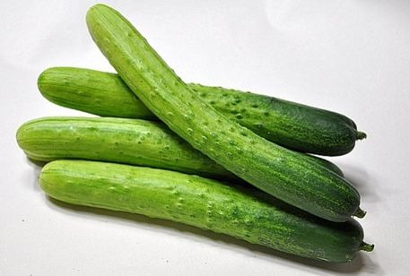 nmn자연식품-오이