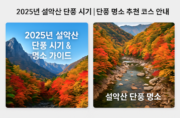 설악산-단풍-계곡