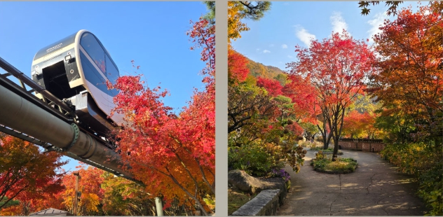 화담숲 놀이기구 전경
