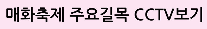 광양 매화축제