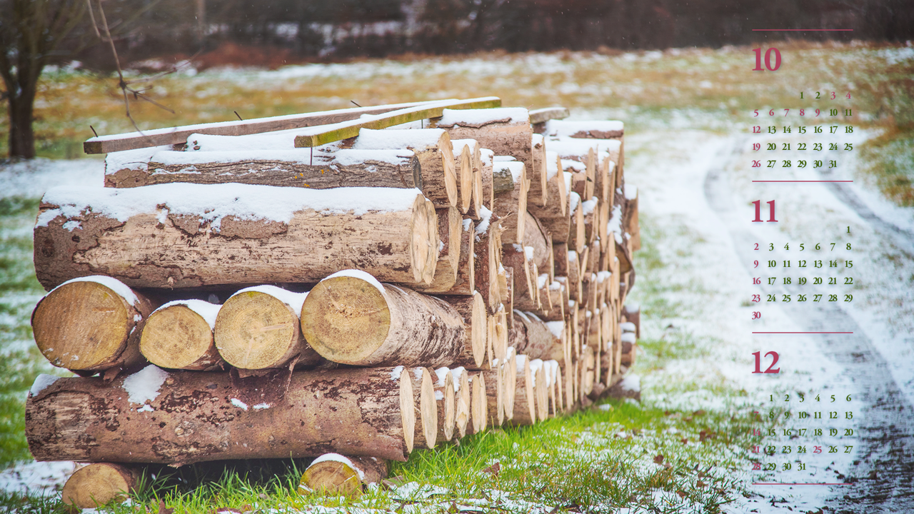 04 눈 내린 통나무 B - 2025년11월 노트북배경화면