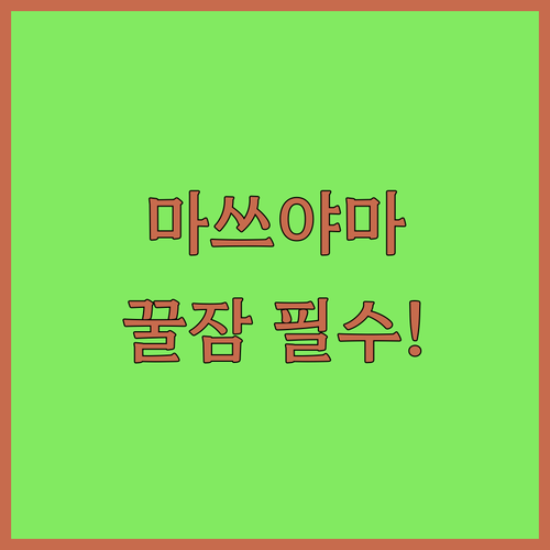 마쓰야마 호텔 4곳 최종 비교 후나야..
