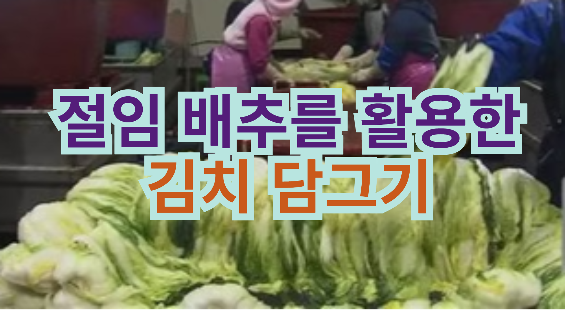 절임배추 김치 담그기