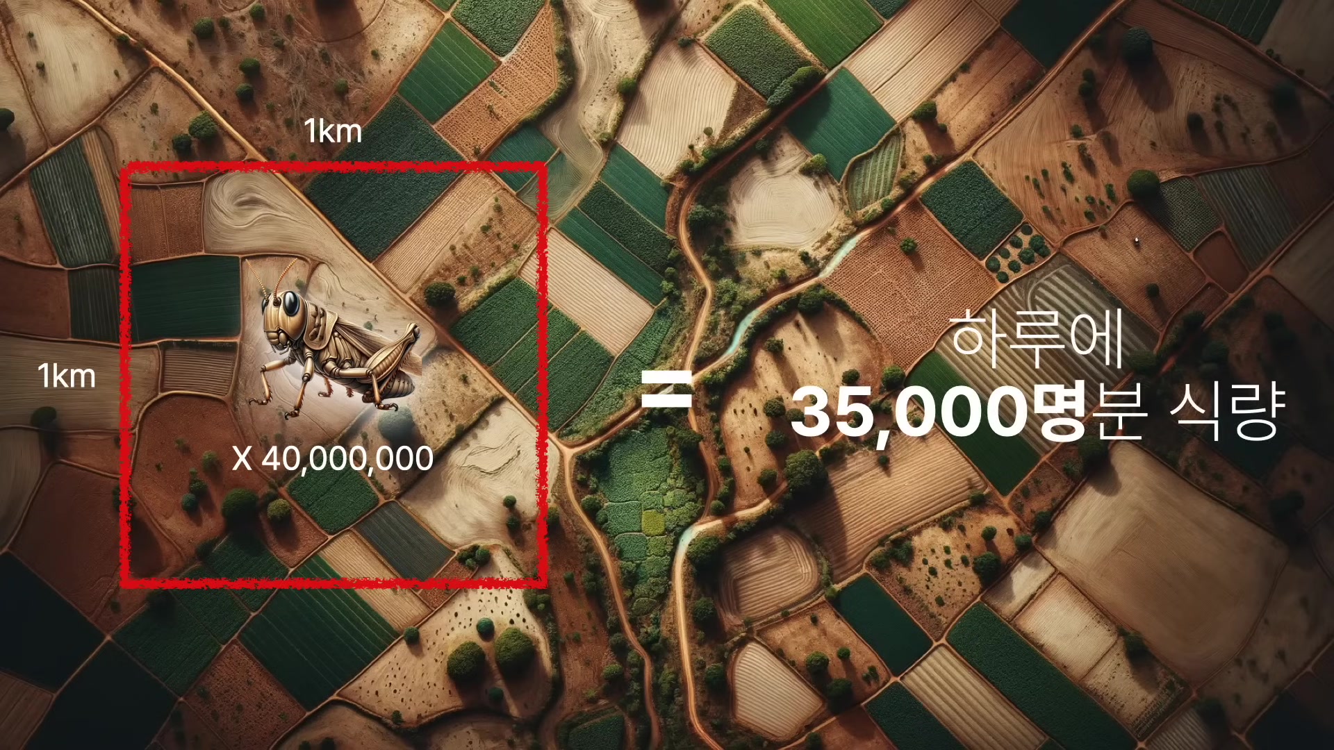 하루에 35,000명 분 식량