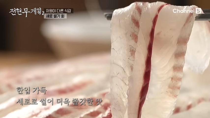 전현무계획 부산 세로썰기회 가격 위치