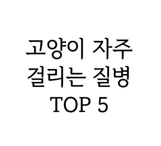 고양이 자주 걸리는 질병 TOP 5