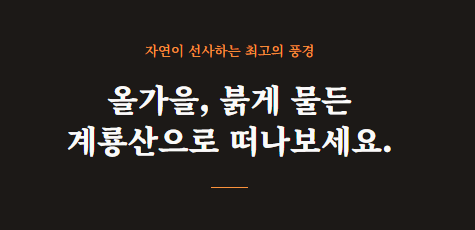 계룡산 단풍 절정시기