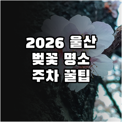 2026년 울산 남구 벚꽃 개화 정보..