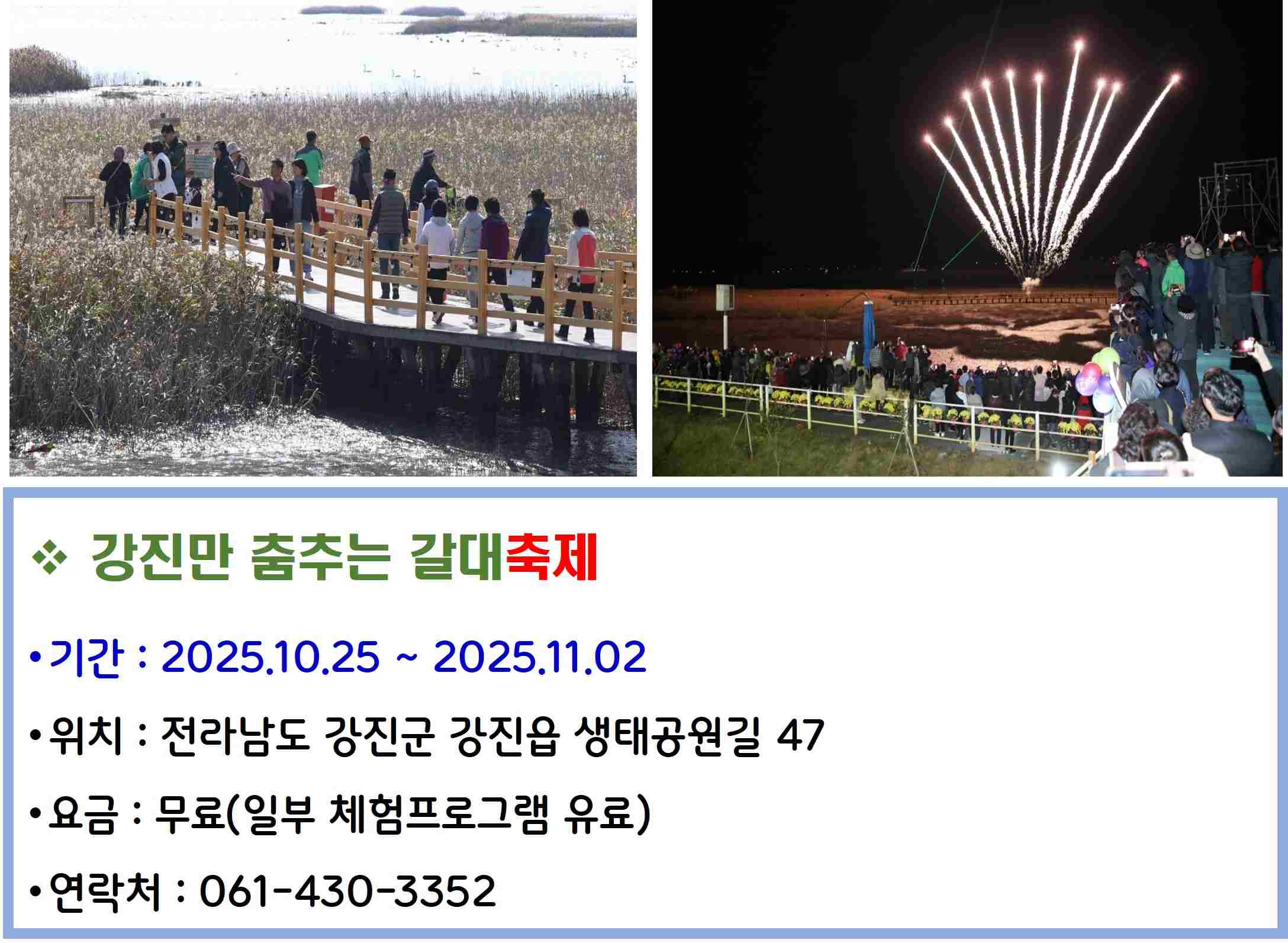 강진만 춤추는 갈대축제