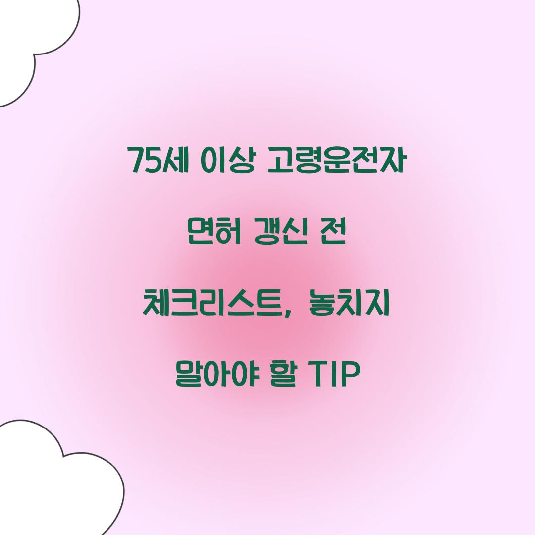 75세 이상 고령운전자