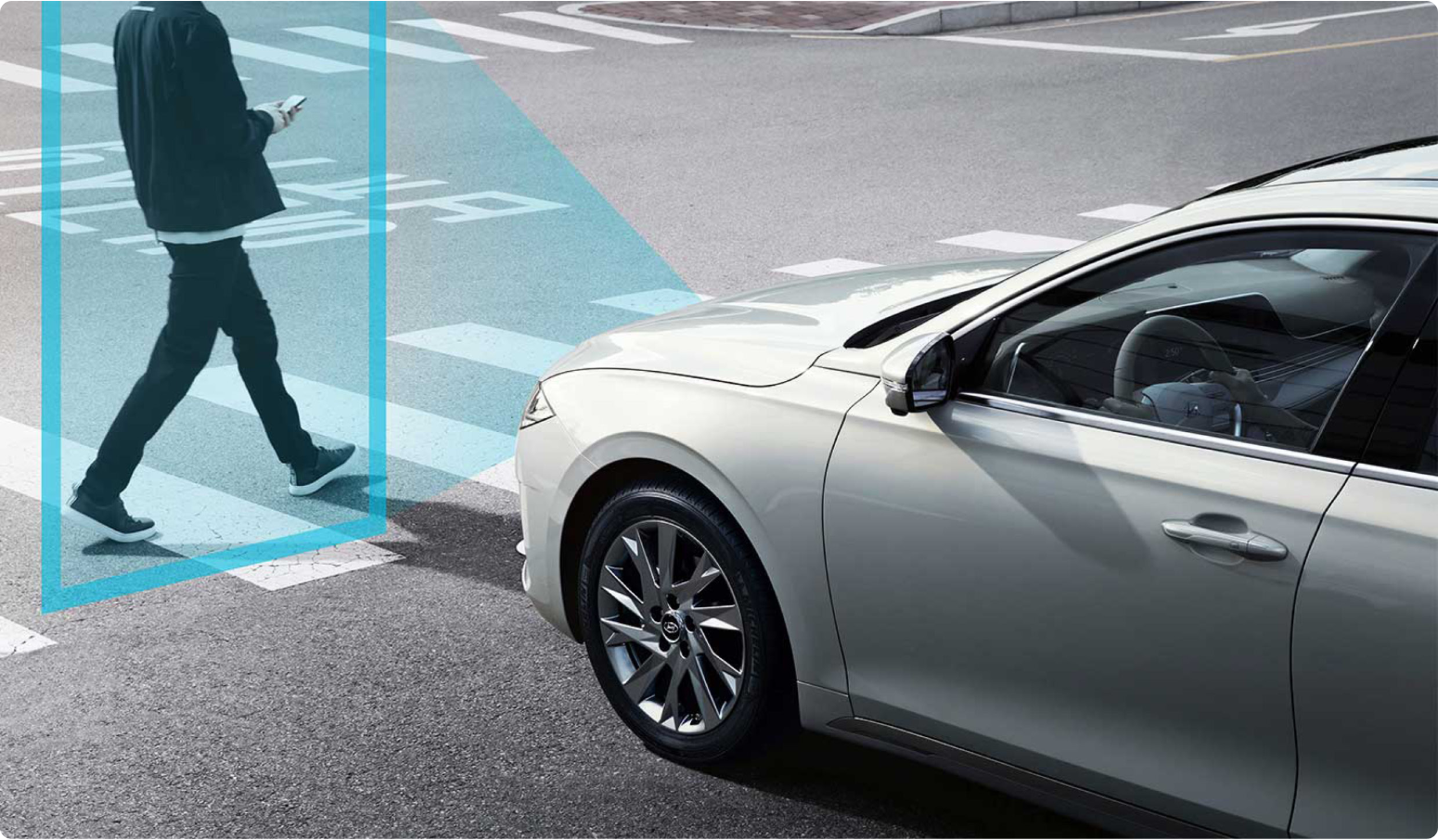 ADAS(첨단 운전자 보조 시스템)