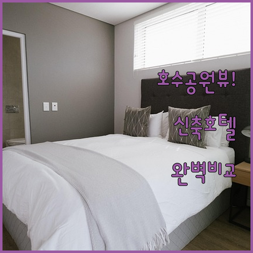 세종 호수공원 뷰 숙소와 신축 호텔 ..