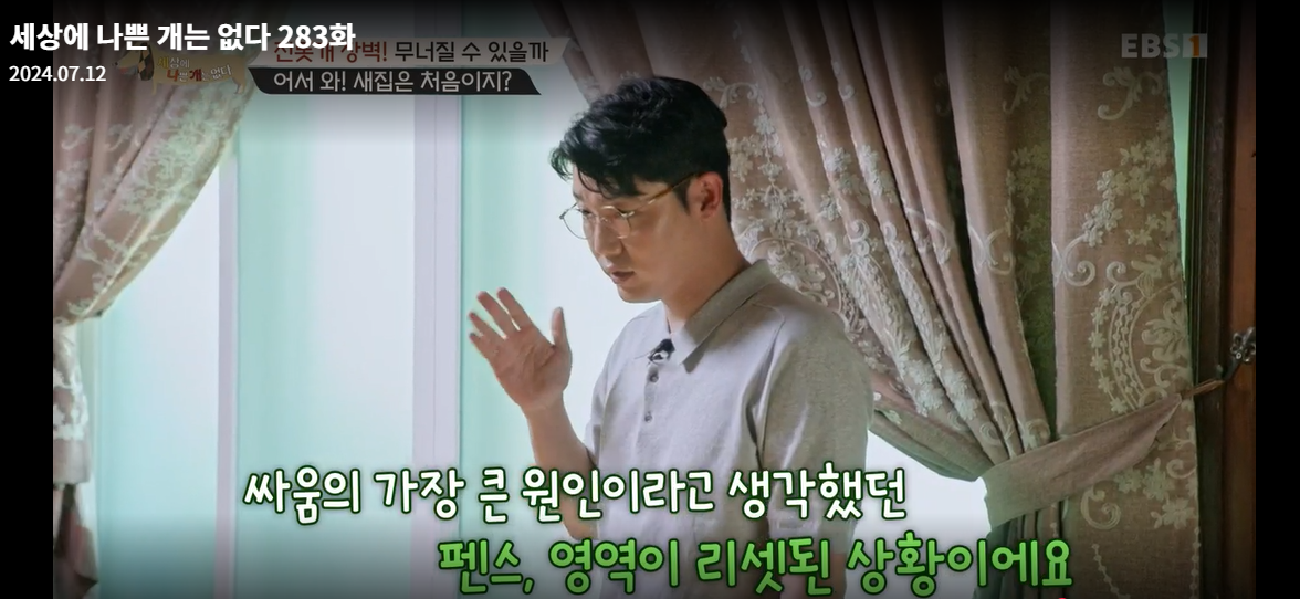 설채현-세상에나쁜개는없다-세나개-283화-진돗개장벽-재방송