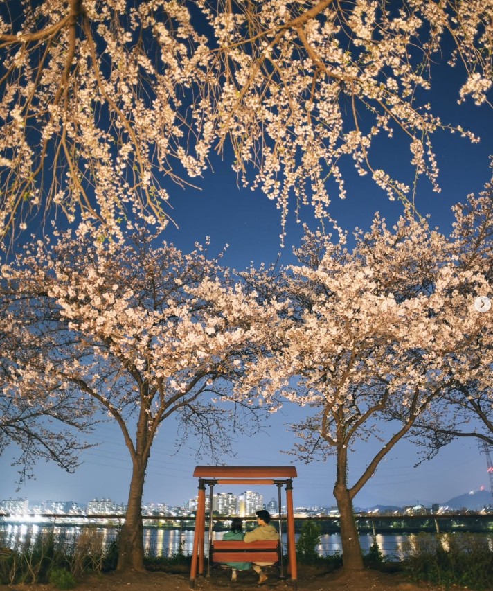 생방송투데이 별난주부전 스냅사진 썸네일