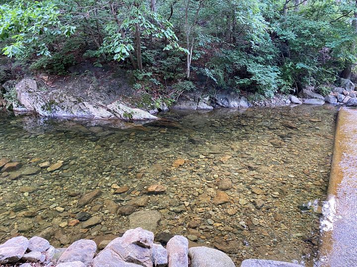 맑은누리-계곡사진