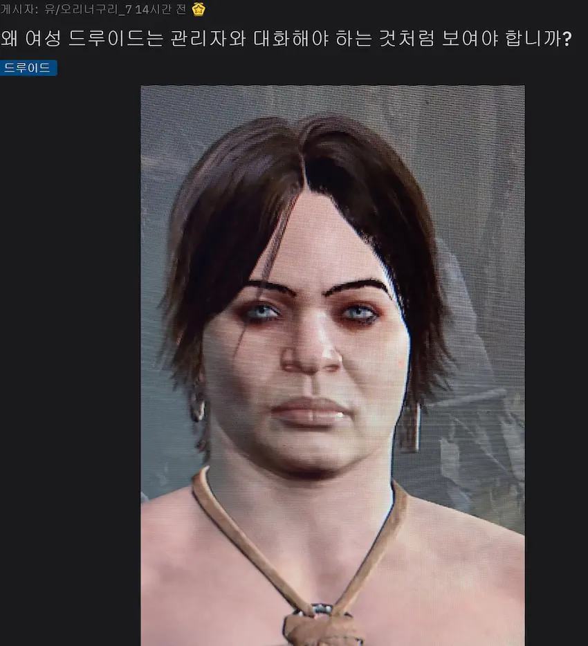 디아블로 4 여성 드루이드 레딧 반응