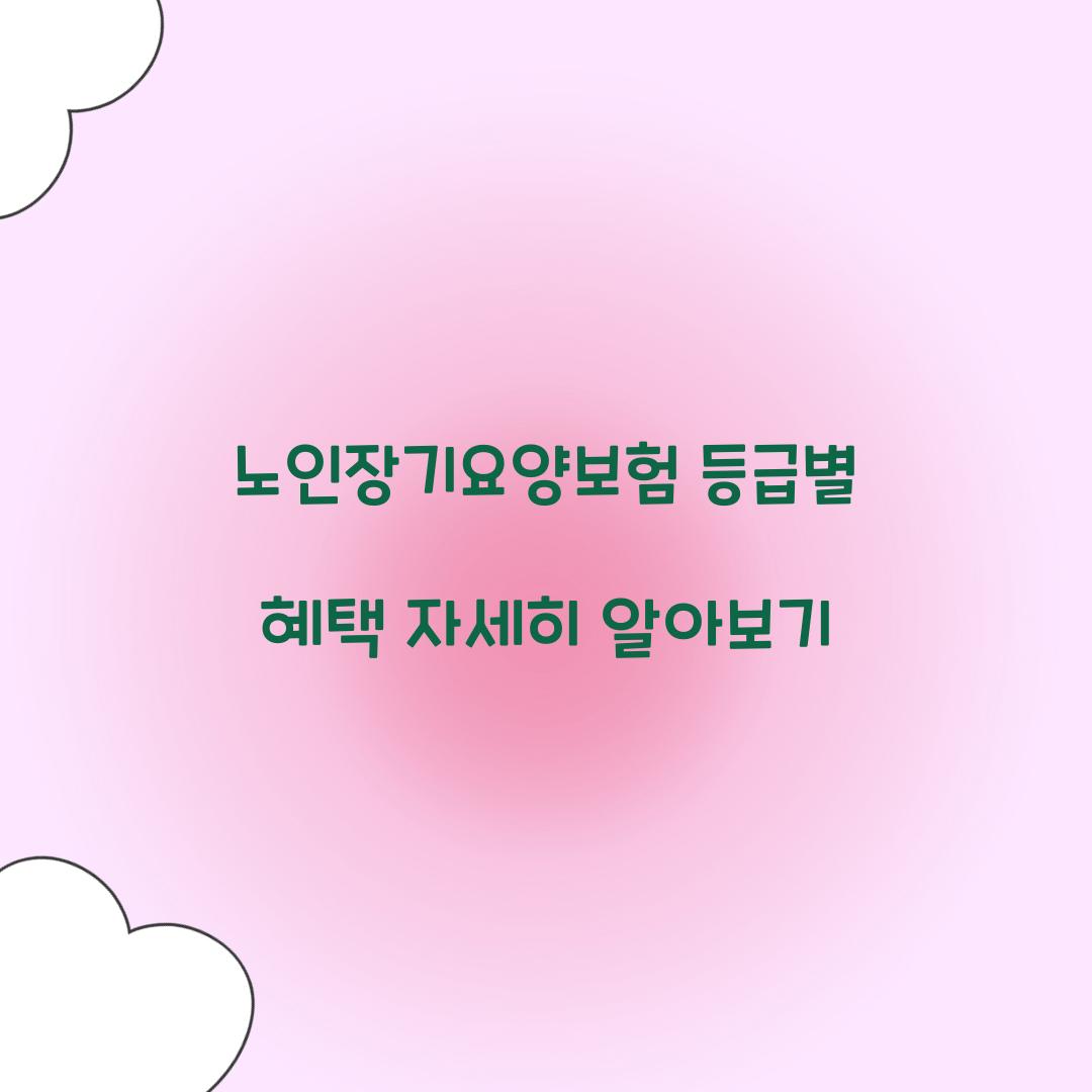 노인장기요양보험 등급별 혜택