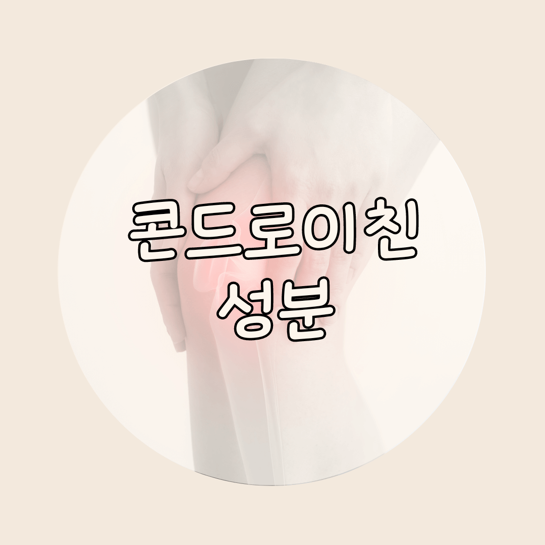 콘드로이친 성분