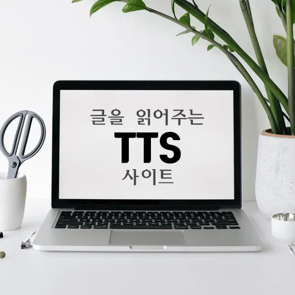 텍스트 음성 변환 사이트 TTS(Text to speech)