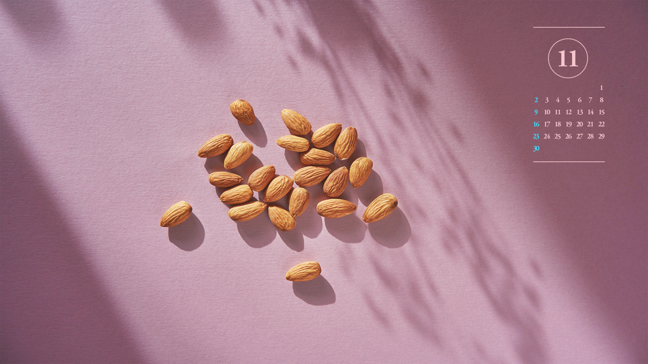 05 아몬드 A - 2025년11월 노트북배경화면