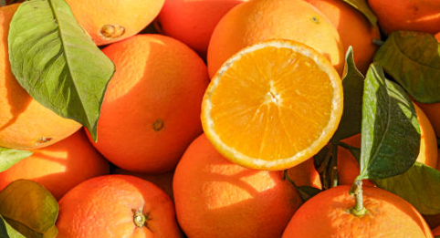 탈모에 좋은 오렌지