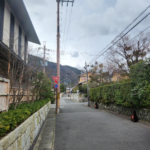 한적한 길가. 오래된 동네처럼 느껴진다.