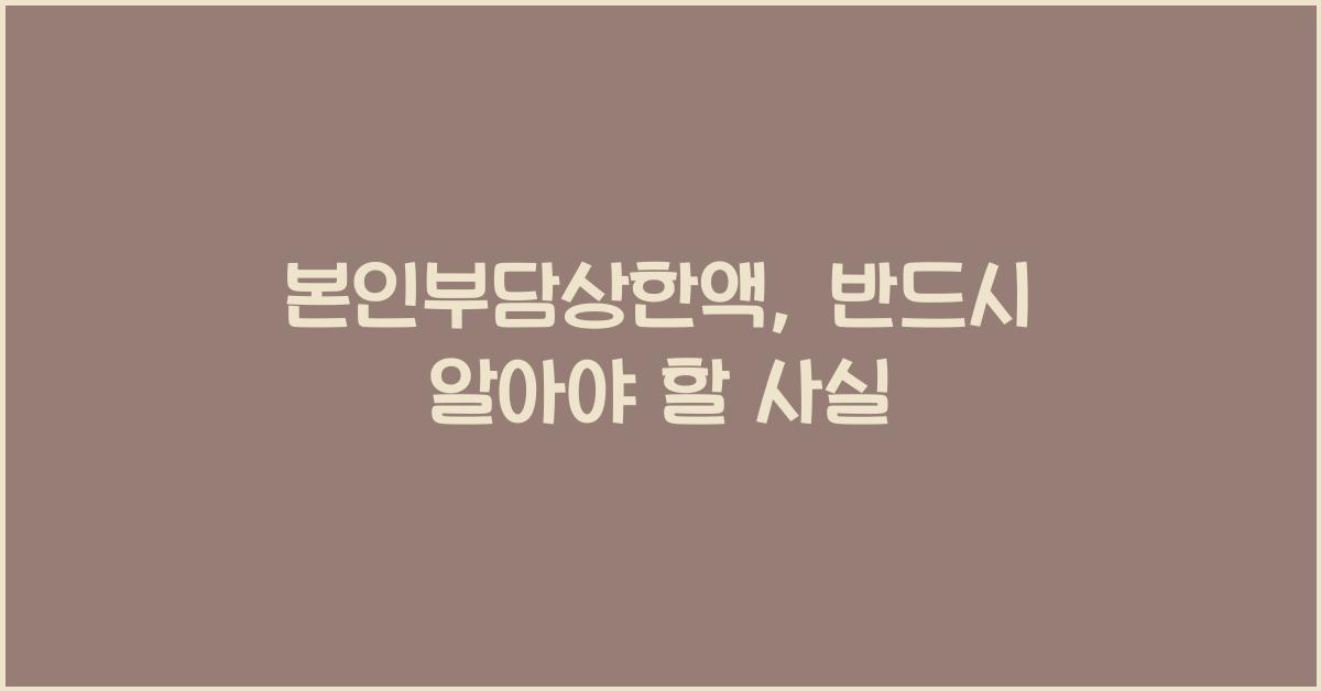 본인부담상한액
