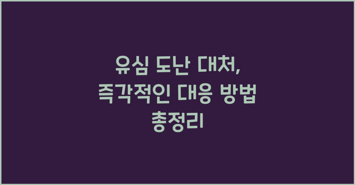 유심 도난 대처