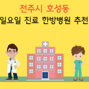 전주시 호성동 일요일 진료 한방병원 추천