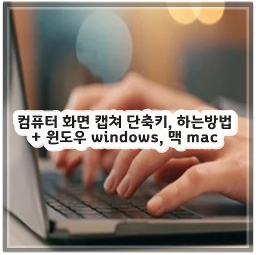 컴퓨터 화면 캡쳐 단축키, 하는방법 + 윈도우 windows, 맥 mac