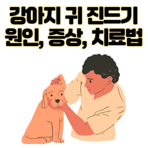 강아지 귀 진드기 검은 찌꺼기 원인, 증상 및 치료법