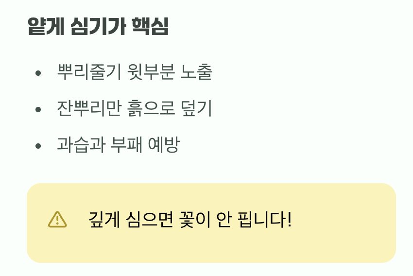 알뿌리, 살짝만 덮어주세요