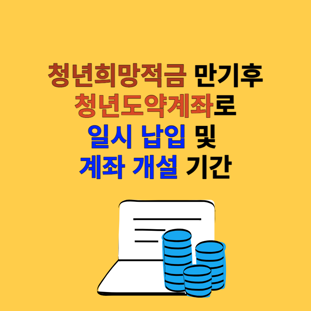청년도약계좌 일시납입 허용