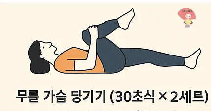 스트레칭-무릎-가슴쪽으로-당기기