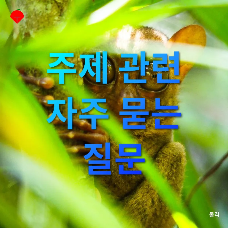 보홀 여행_4