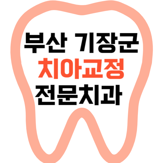 부산 기장군 치아교정 치과 잘하는 곳 전문 치과 추천 가격 비용.png