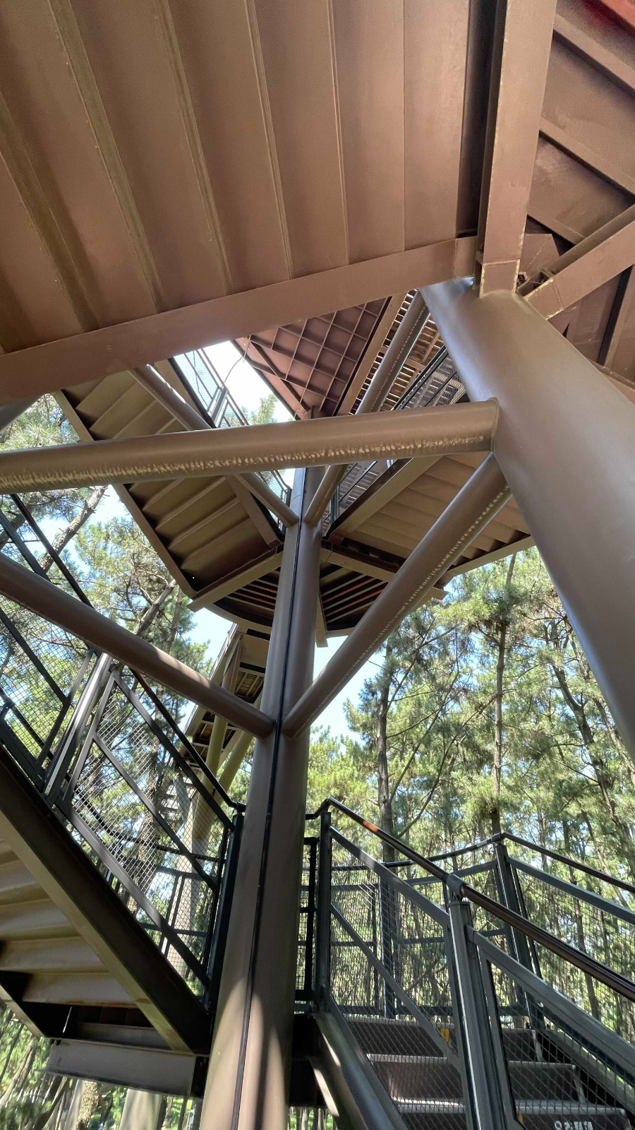 장항 스카이워크