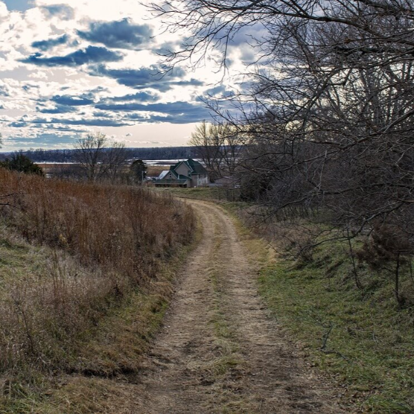 맨발 걷기 효능 사진 8