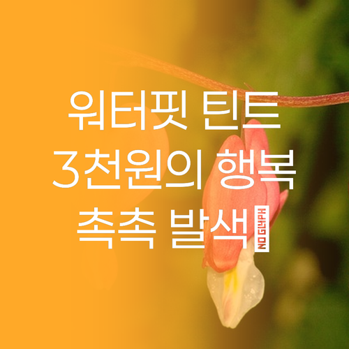 더페이스샵 워터핏 틴트 💧 촉촉한 발..