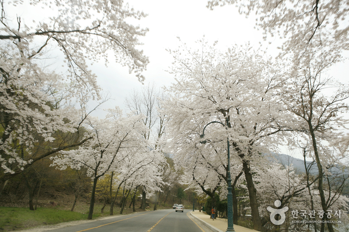 구미 가볼만한곳 베스트10