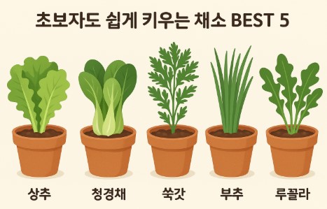 초보자도 쉽게 키우는 채소 BEST 5 사진