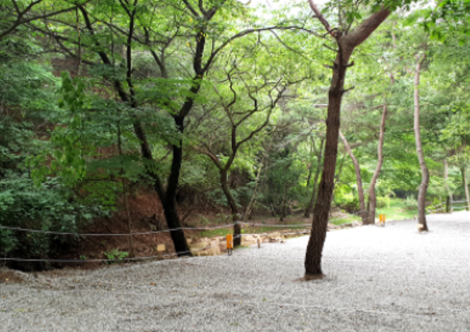 경기-용인-은이골가족캠핑장-사진-입니다.