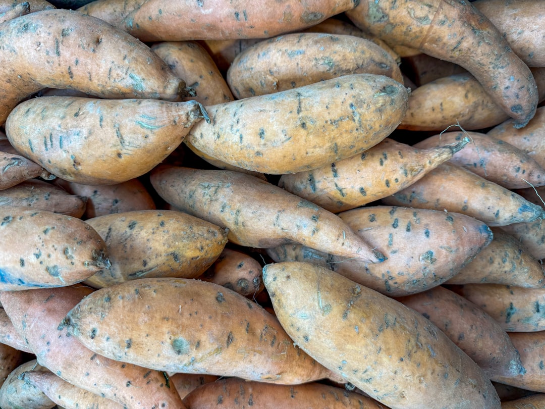 고구마 — sweet potato